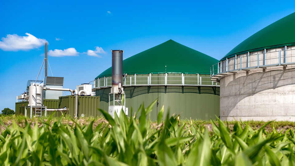 Biogasanläggning med grönt tak